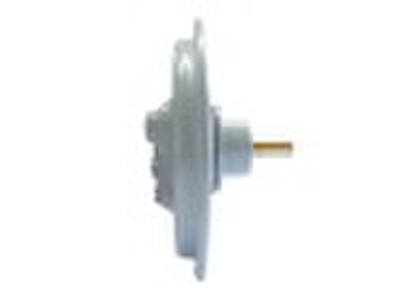 DC Pancake motor (DC flat print motor)