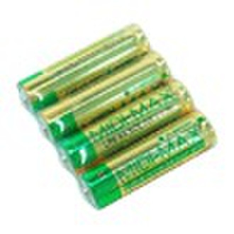 AA Alkaline Batteries