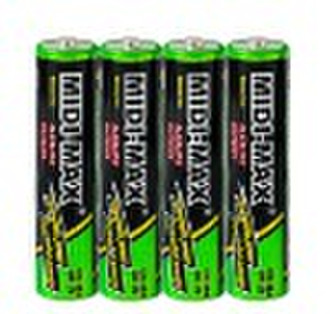 AAA ALKALINE BATTERY