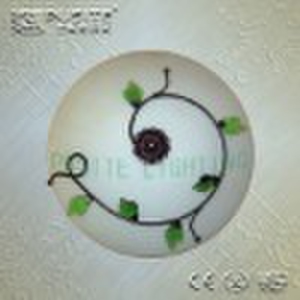 decoration residential ceiling light