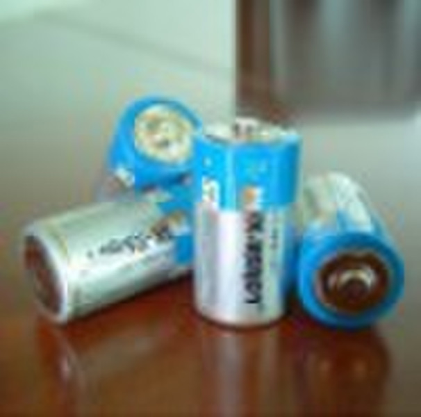 R20 SIZE D UM-1 DRY BATTERY