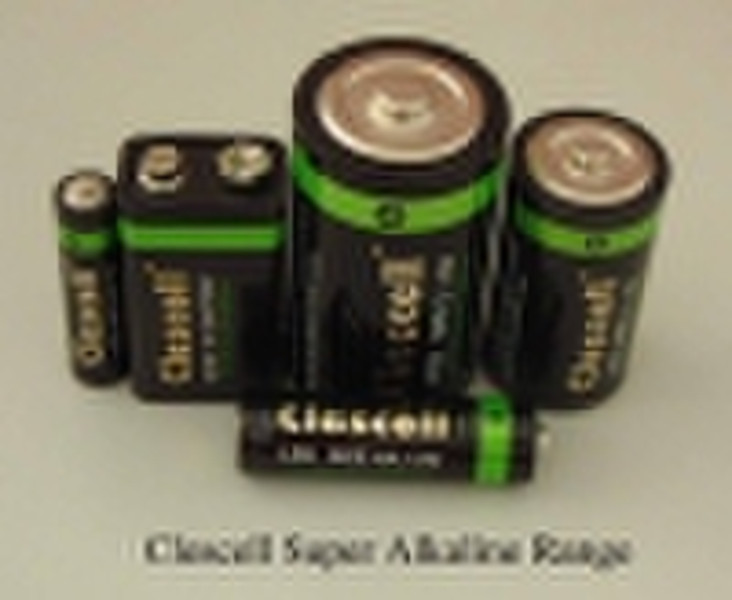 Alkaline Batteries (LR14/AM2/C)