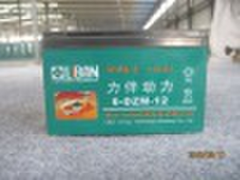 lead-acid battery 6-DZM-12