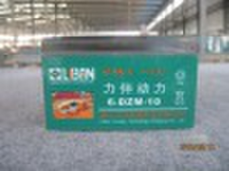 lead acid battery 6-DZM-10