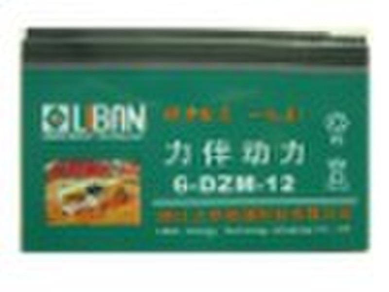 lead acid battery 6-DZM-12