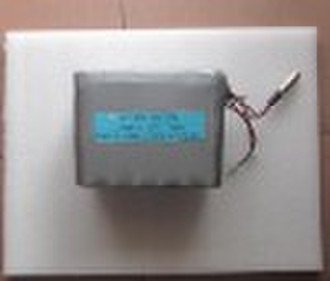 36V9AH LiFePO4 Batterie Pack