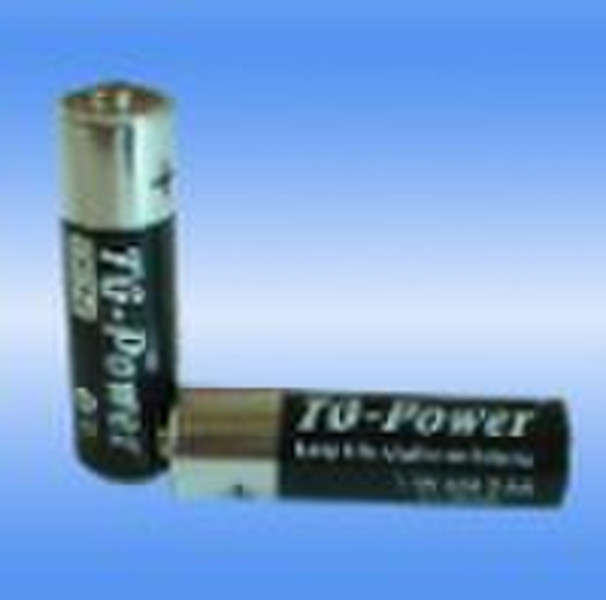 AA/LR6 Alkaline Battery