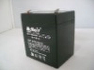 Security Alarm System Battery