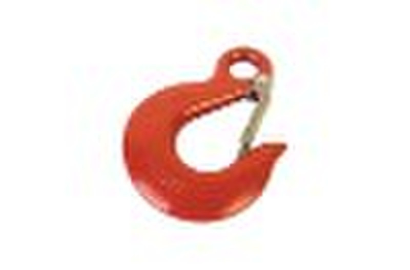 Eye Slip Hook with Latch