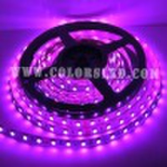 60pcs / m Weiß LED-Streifen