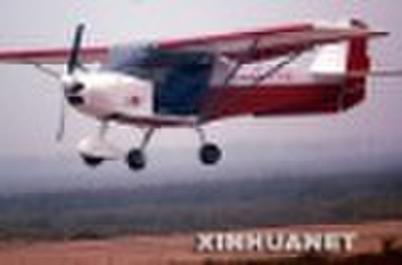 Sadler Radial Engine