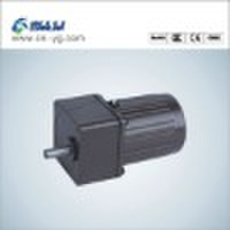 INDUCTION MOTOR