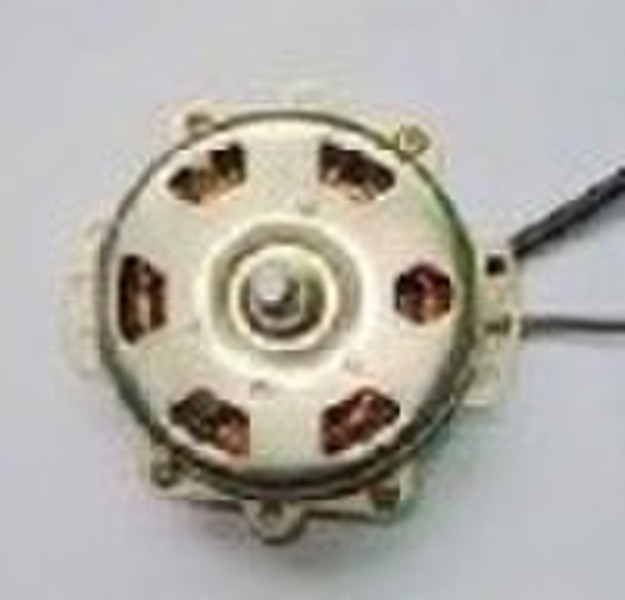 Electric fan motor