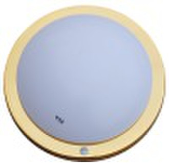 sound and light ceiling light