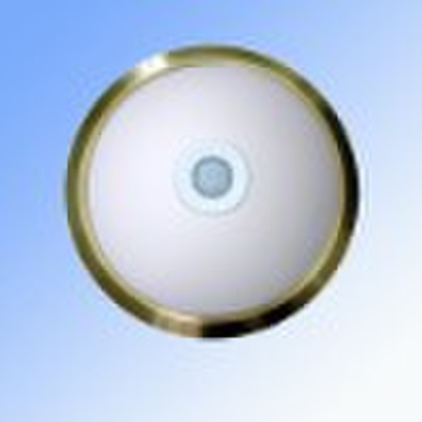 LED infrared ceiling lamp