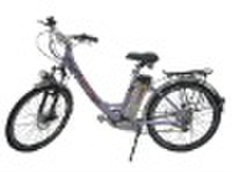 Lithium-Ionen-Akku für Mini E-Bike