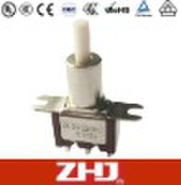 Toggle Switch