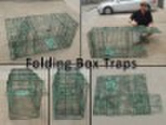 Folding live animal box trap