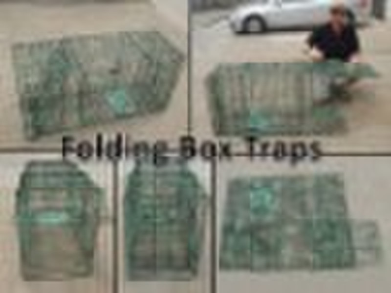Folding live animal box trap