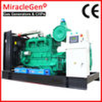 Biogas Generator Set