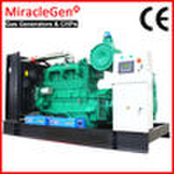 Biogas Generator Set
