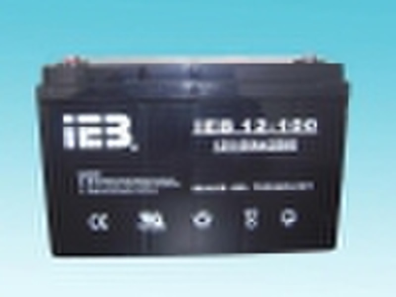 12V100AH Deep cycle batteries