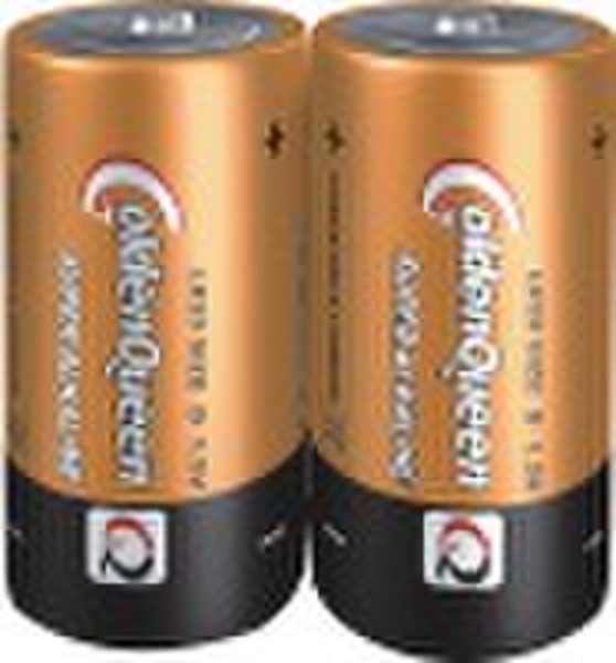 LR20 alkaline  battery , D size  battery