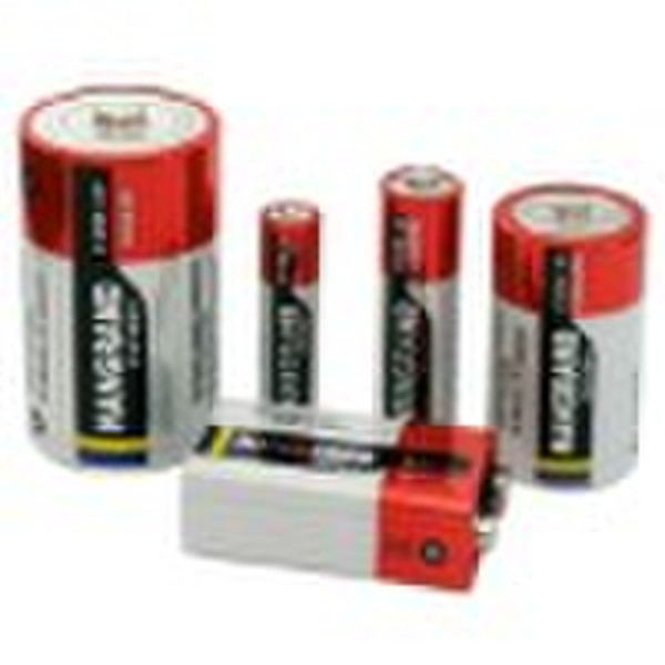 alkaline battery/AA,AAA,D,C,9V,23A