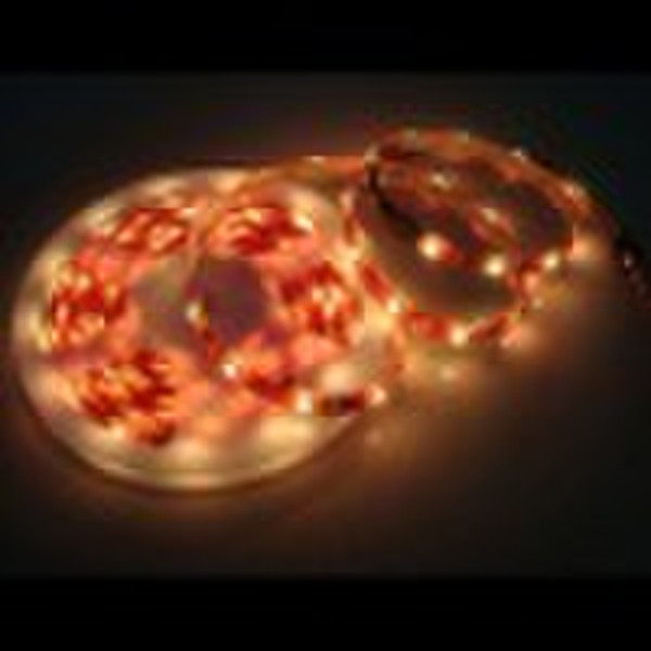 2010 SMD3528 IP63 waterproof Led light strip