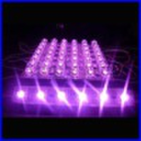 Purple piranha LED Module, 6 leds Module
