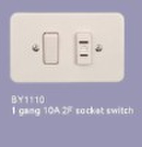 wall switch 1 gang one way switch socket (BY1110)