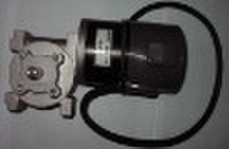 DC Gearmotor