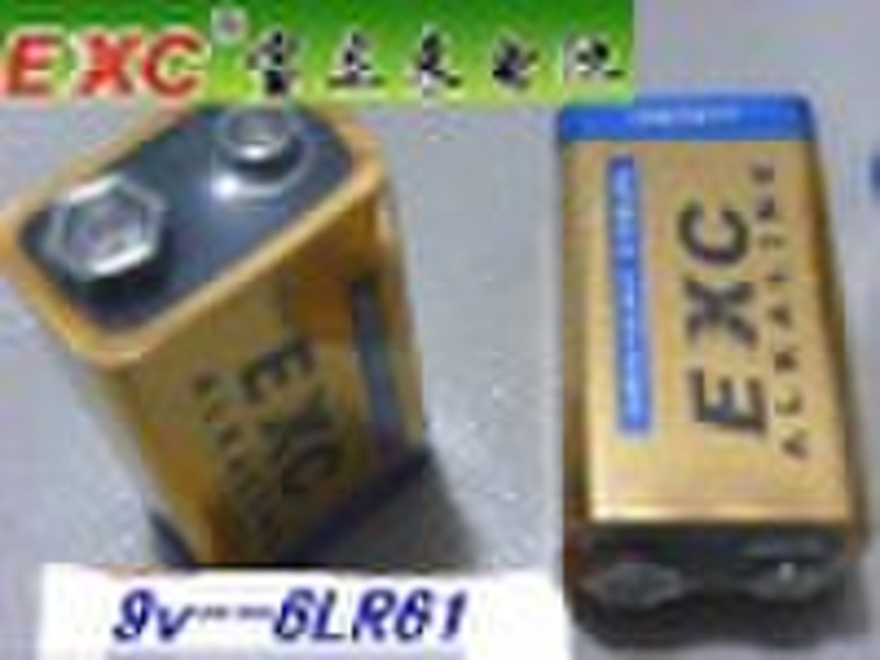 Alkaline dry battery