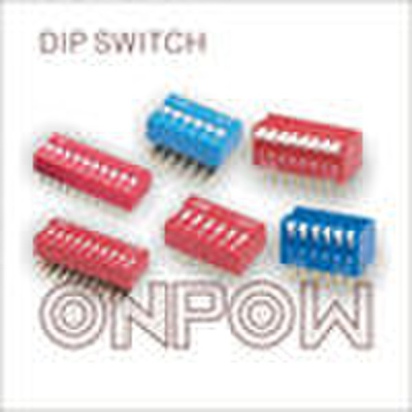 DS dip switch