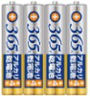 famous alkaline AAA battery