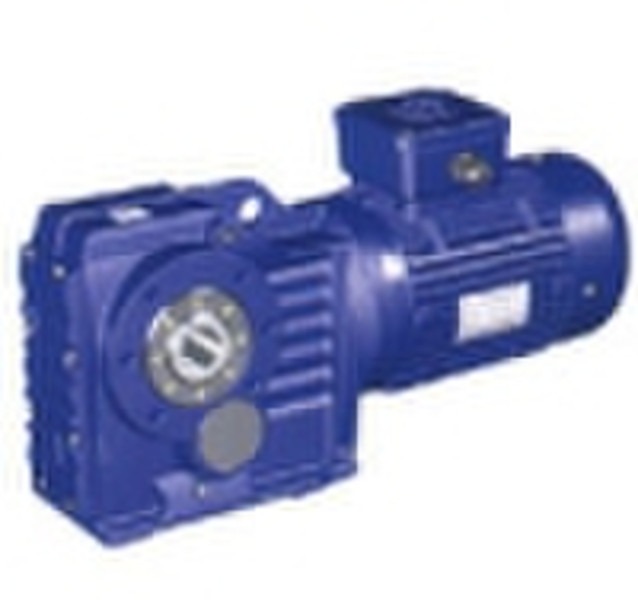 DK AC Gear Motor