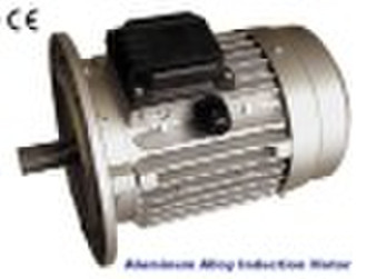 IEC B5 flange induction motor