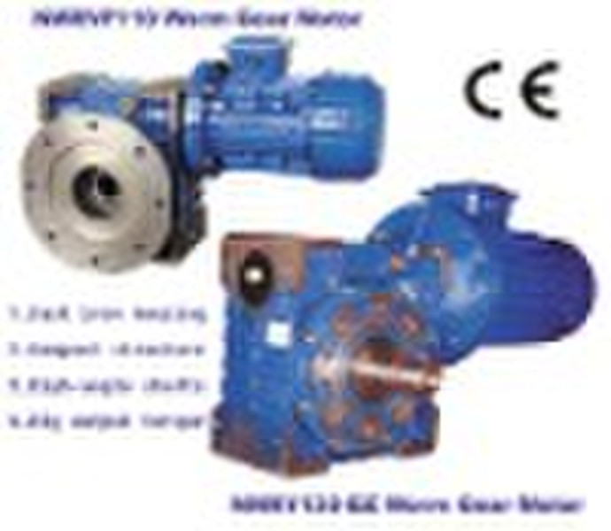 Cast Iron Worm Speed Reducer