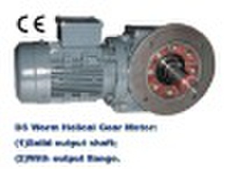 S Helical & Worm Gear Motor