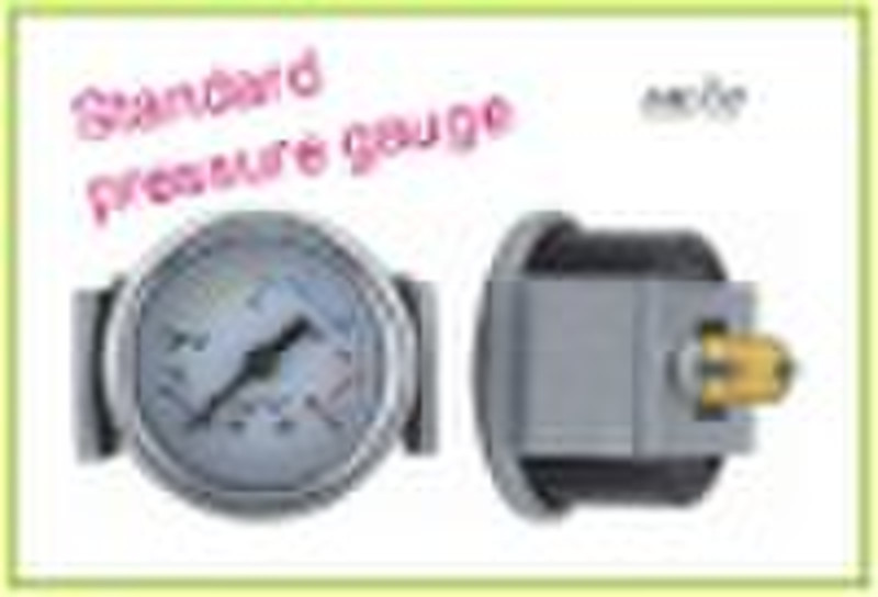 Standard Pressure Gauge With U-Clamp