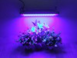 LED indoor grow lighting,LED Hydroponics lighting,