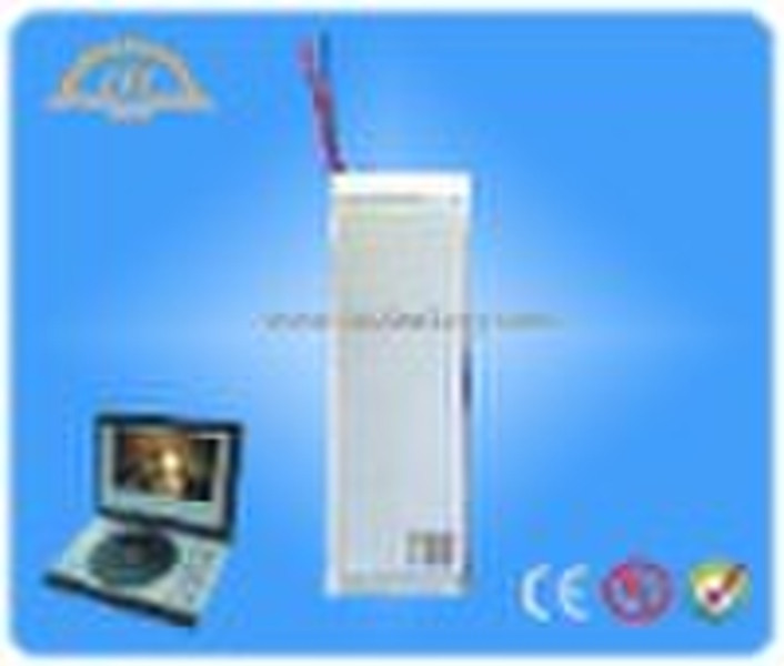 *TSE battery*protable DVD lithium battery