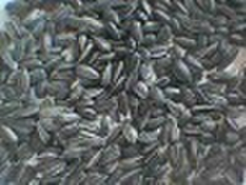 oil sunflower seed