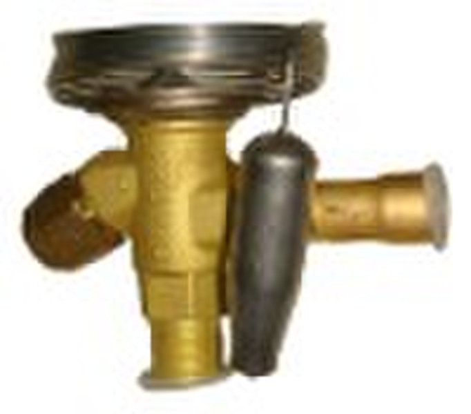 Danfoss Thermostatic Expansion Valve