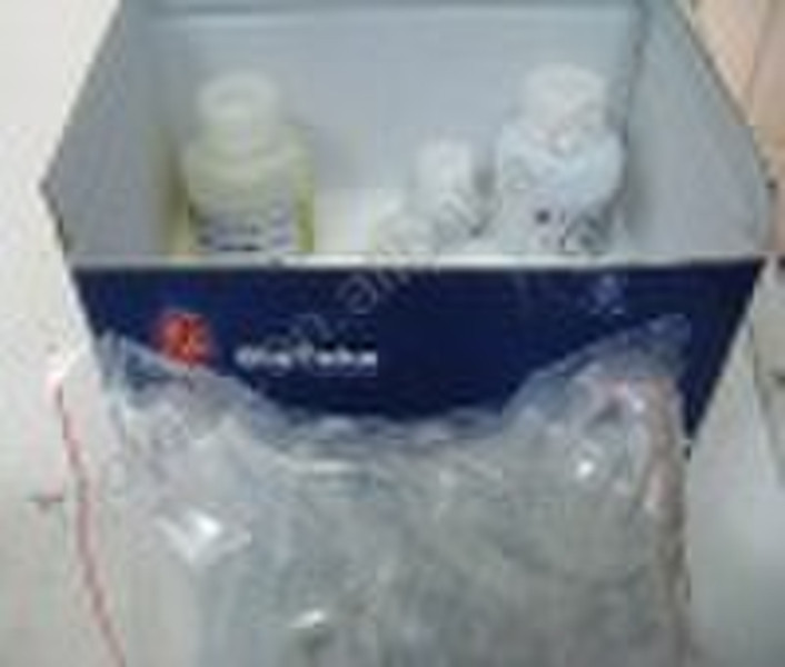 Gel Extraction & PCR Purification Combo Kit (S