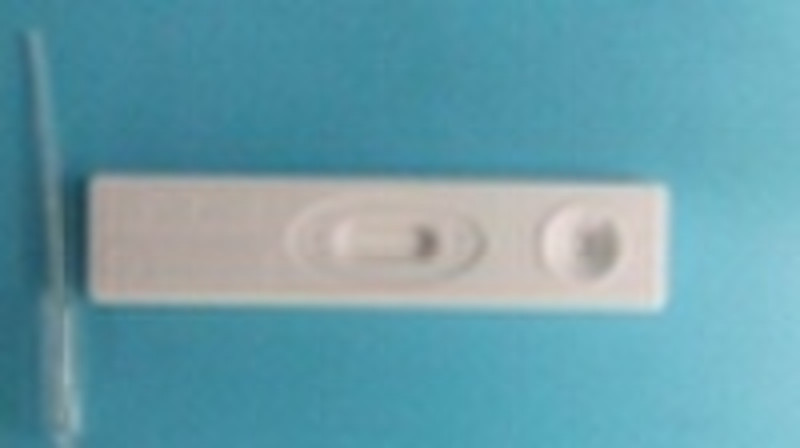 Rapid Diagnostic Test