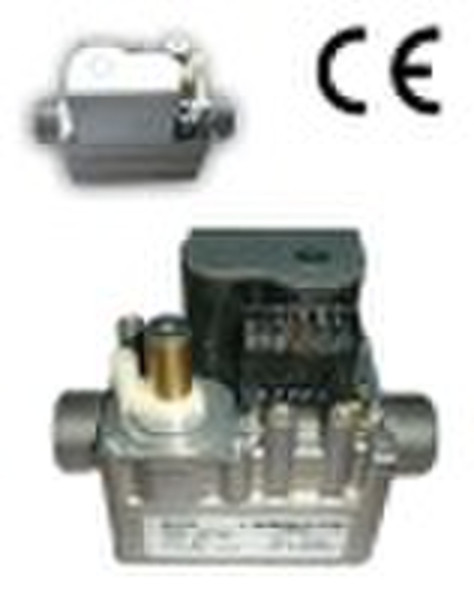 Gas valve (EBR2006N)