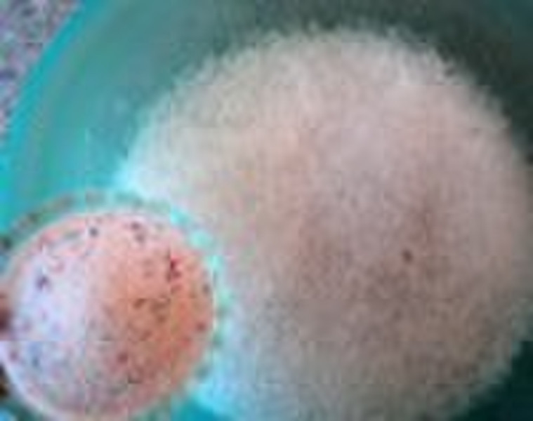 Bulk Detergent powder