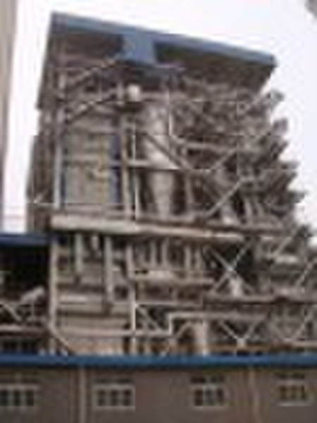 Biomass-fuelled Circulating Fluidized Bed Boiler