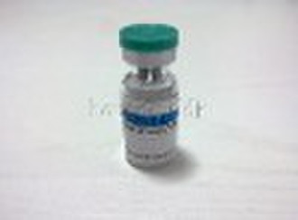 IGF-1 LR3   IGF-1  IGF